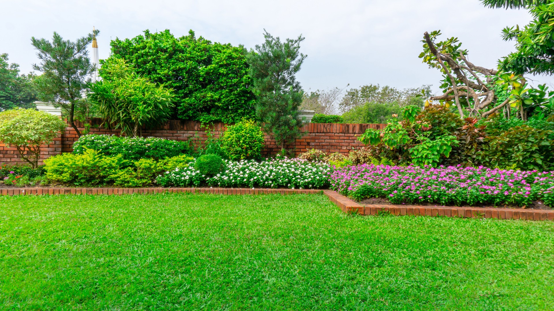 Beautiful English cottage garden, colorful flowering plant on smooth green grass lawn and group of evergreen trees in good care maintenance landscaping of a public park under white sky