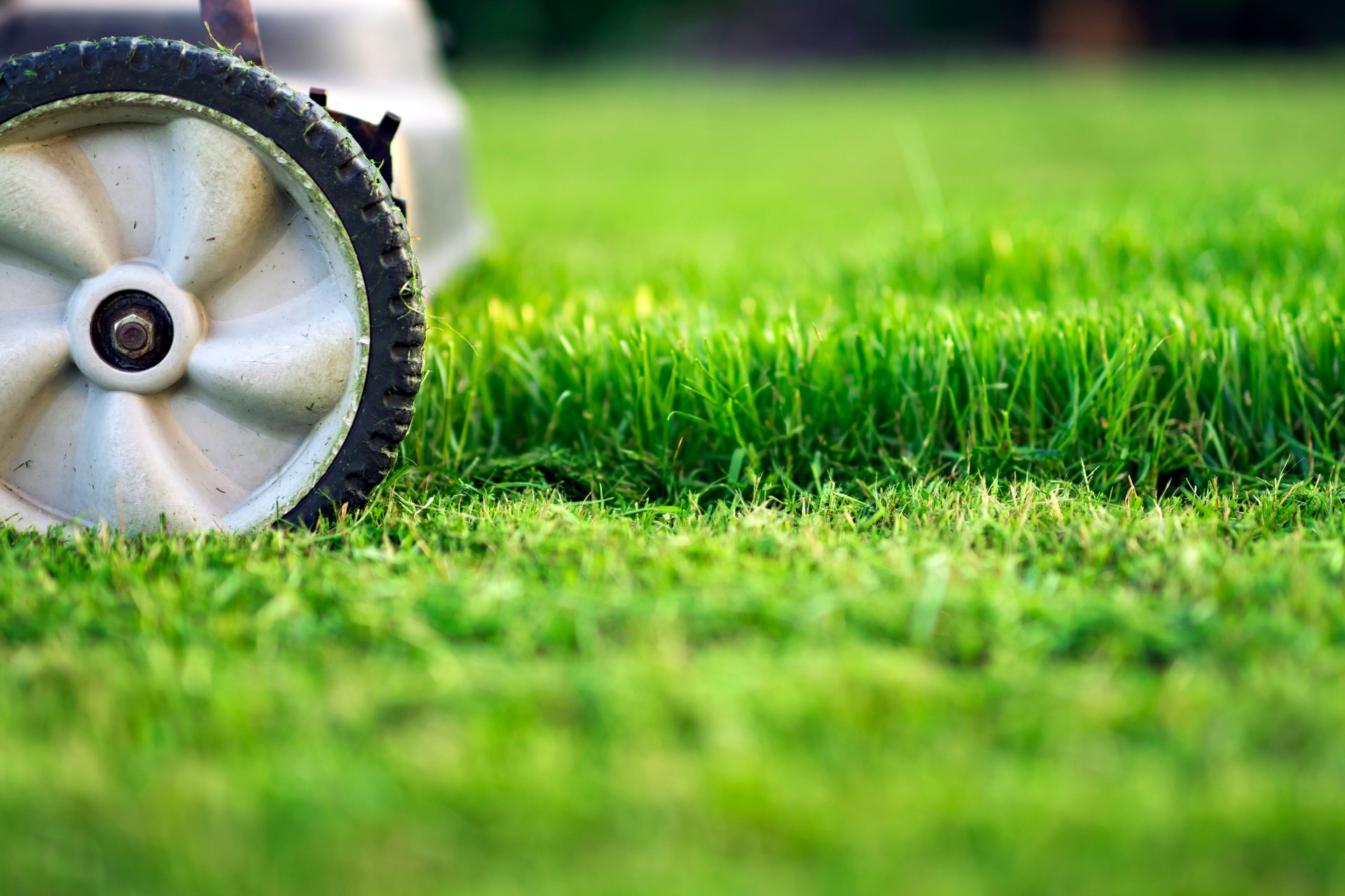 Lawn mower on green grass